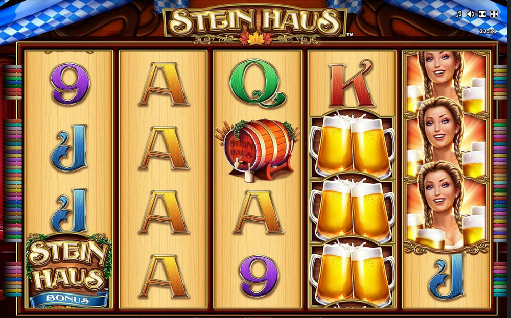 stein hause slot